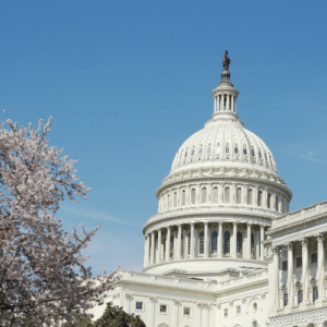 MSA Blog Post Congress